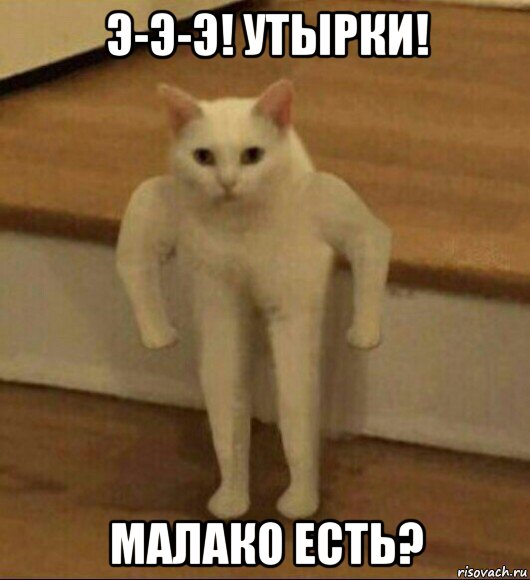 э-э-э! утырки! малако есть?, Мем  Полукот