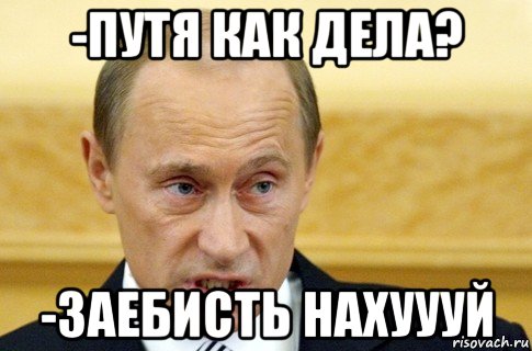 -путя как дела? -заебисть нахуууй, Мем путин