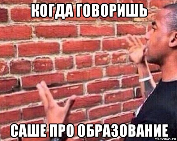 когда говоришь саше про образование, Мем разговор со стеной