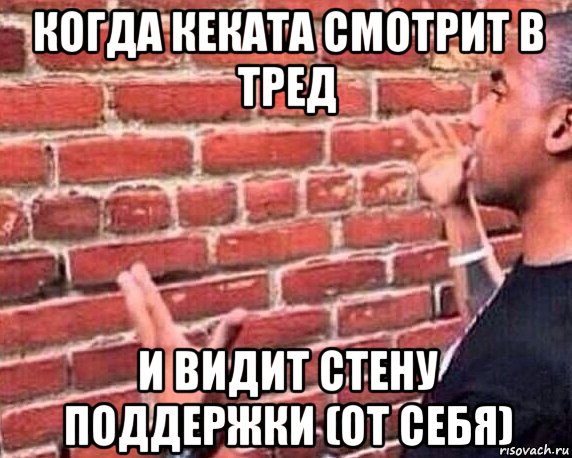 когда кеката смотрит в тред и видит стену поддержки (от себя), Мем разговор со стеной