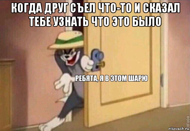 когда друг съел что-то и сказал тебе узнать что это было , Мем    Ребята я в этом шарю