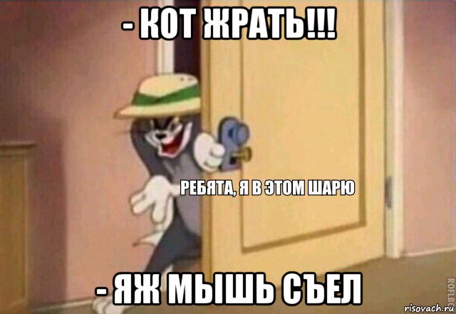 - кот жрать!!! - яж мышь съел, Мем    Ребята я в этом шарю