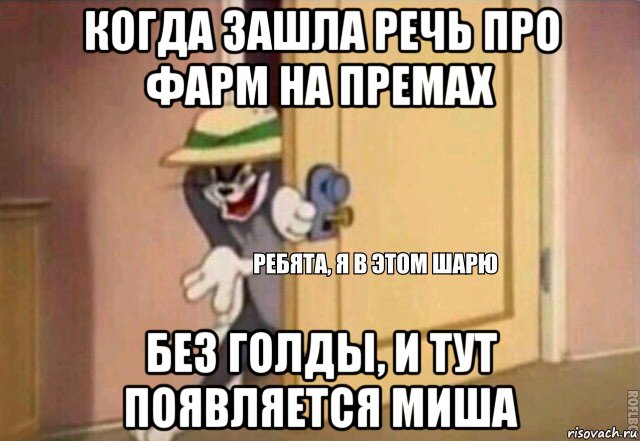 когда зашла речь про фарм на премах без голды, и тут появляется миша, Мем    Ребята я в этом шарю