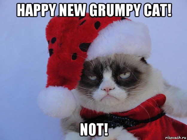 happy new grumpy cat! not!, Мем   С нг кароч