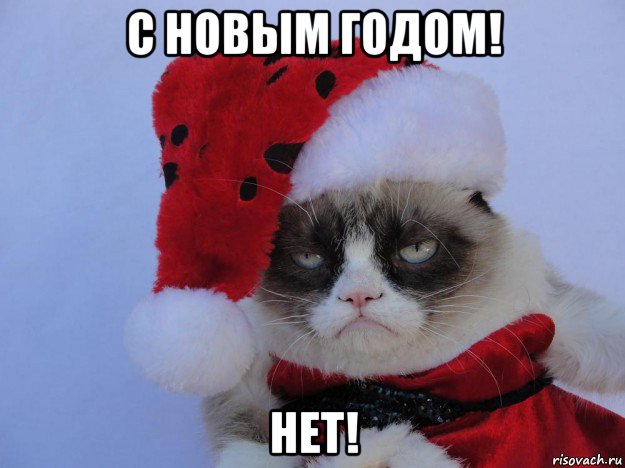 с новым годом! нет!, Мем   С нг кароч