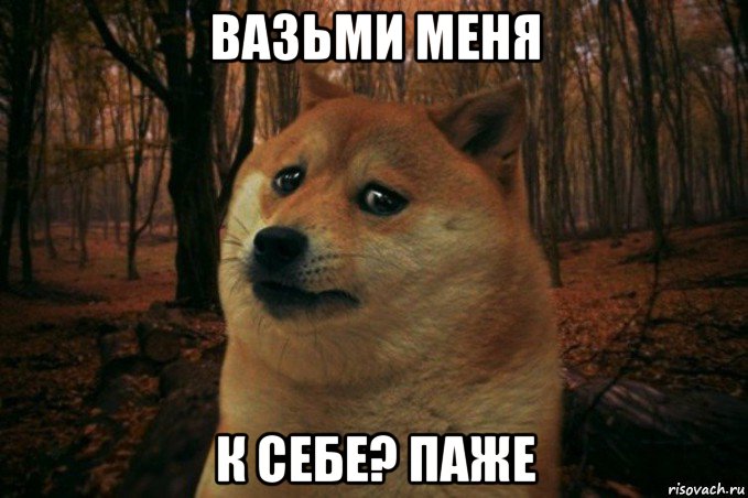 вазьми меня к себе? паже, Мем SAD DOGE