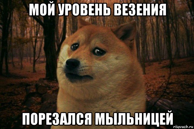 мой уровень везения порезался мыльницей, Мем SAD DOGE