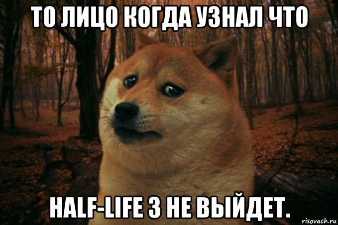 то лицо когда узнал что half-life 3 не выйдет., Мем SAD DOGE