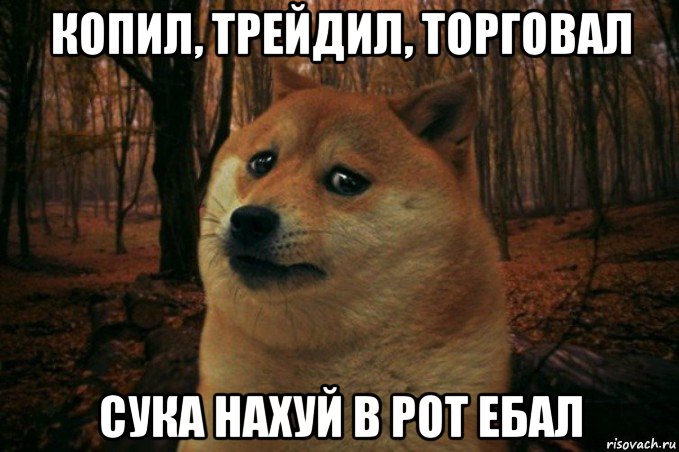 копил, трейдил, торговал сука нахуй в рот ебал, Мем SAD DOGE