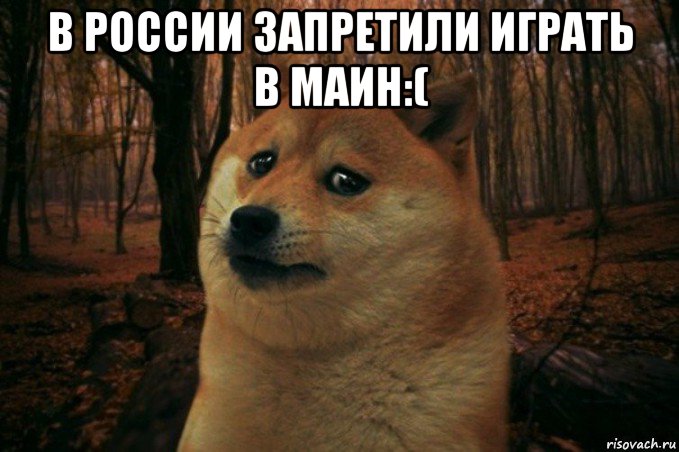 в россии запретили играть в маин:( , Мем SAD DOGE