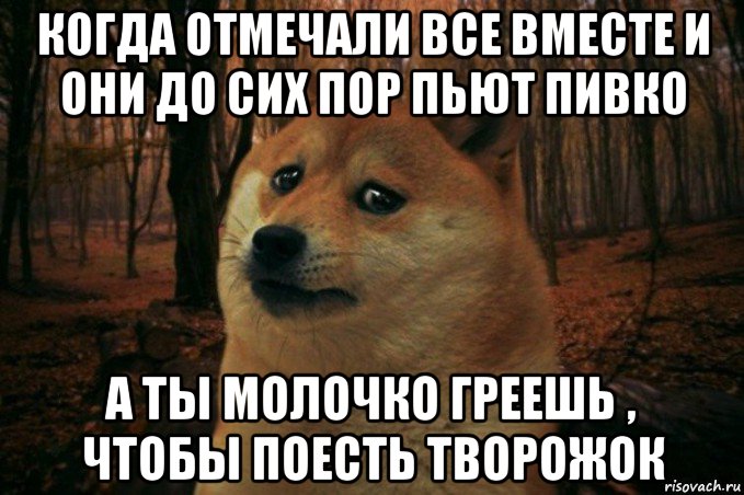 когда отмечали все вместе и они до сих пор пьют пивко а ты молочко греешь , чтобы поесть творожок, Мем SAD DOGE