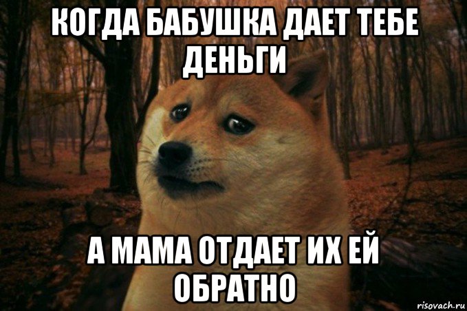 когда бабушка дает тебе деньги а мама отдает их ей обратно, Мем SAD DOGE