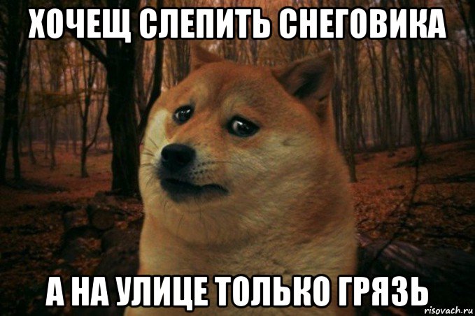 хочещ слепить снеговика а на улице только грязь, Мем SAD DOGE