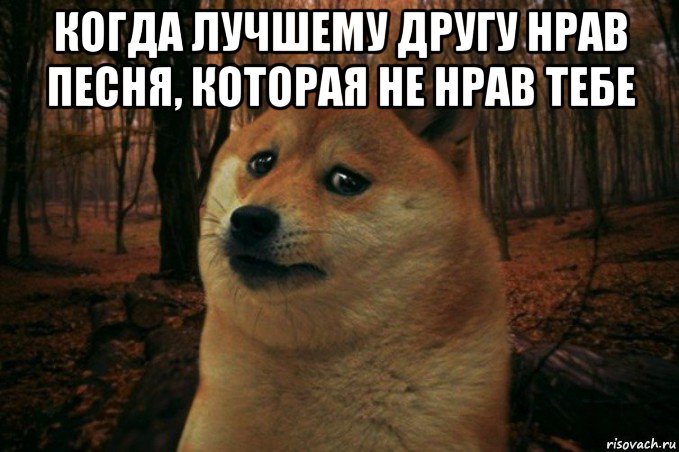 когда лучшему другу нрав песня, которая не нрав тебе , Мем SAD DOGE