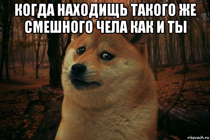 когда находищь такого же смешного чела как и ты , Мем SAD DOGE