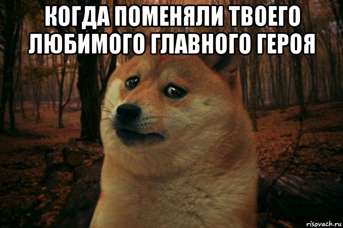 когда поменяли твоего любимого главного героя , Мем SAD DOGE