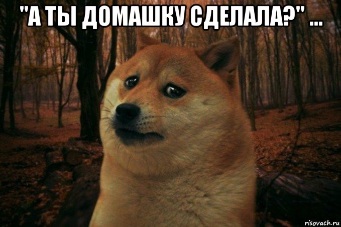 "а ты домашку сделала?" ... , Мем SAD DOGE