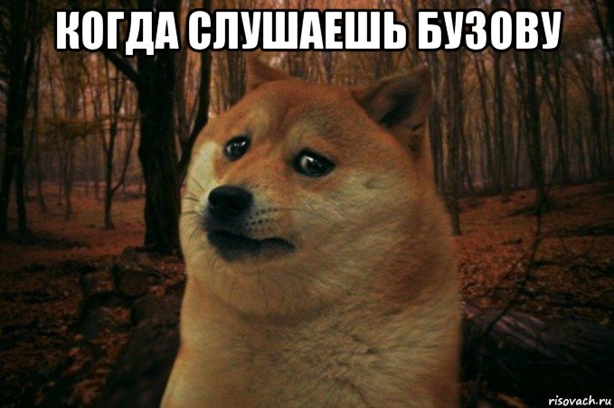 когда слушаешь бузову , Мем SAD DOGE