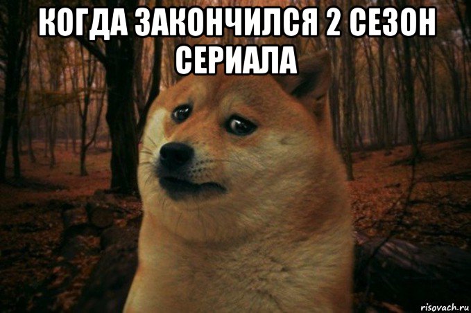 когда закончился 2 сезон сериала , Мем SAD DOGE