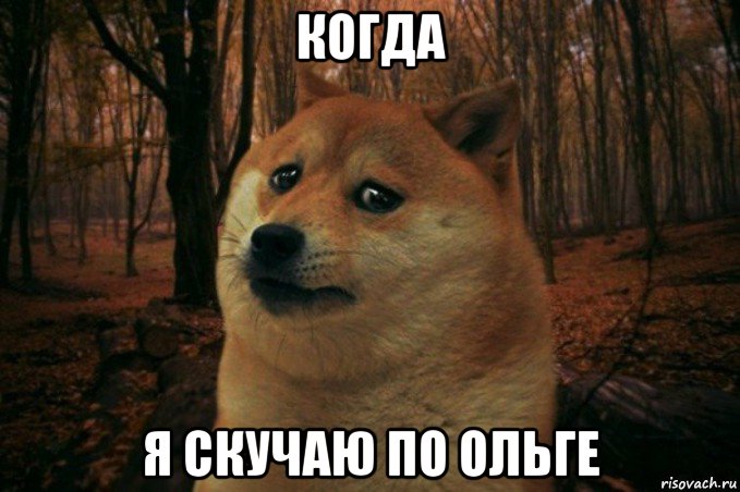 когда я скучаю по ольге, Мем SAD DOGE