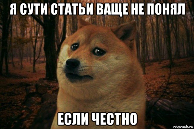 я сути статьи ваще не понял если честно, Мем SAD DOGE