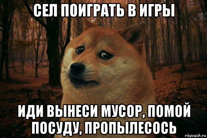 сел поиграть в игры иди вынеси мусор, помой посуду, пропылесось, Мем SAD DOGE