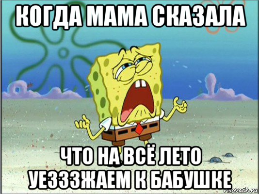 когда мама сказала что на всё лето уезззжаем к бабушке, Мем Спанч Боб плачет