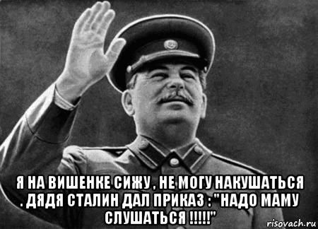  я на вишенке сижу , не могу накушаться . дядя сталин дал приказ : "надо маму слушаться !!!!!"