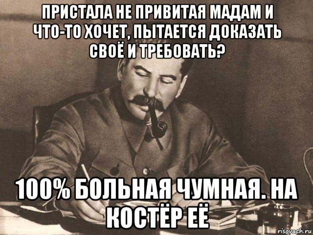 пристала не привитая мадам и что-то хочет, пытается доказать своё и требовать? 100% больная чумная. на костёр её, Мем Сталин