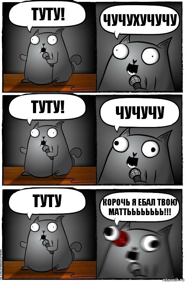 туту! чучухучучу ТУТУ! ЧУЧУЧУ ТУТУ Корочь я ебал твою маттьььььььь!!!, Комикс  Стендап-кот