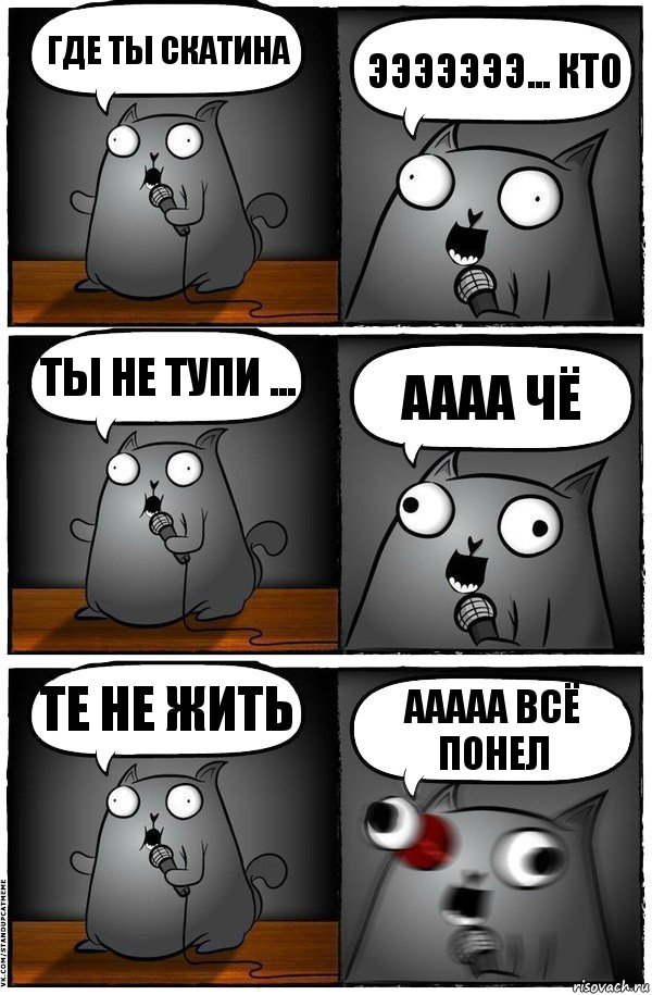 Где ты скатина эээээээ... кто ты не тупи ... ААаа чё Те не жить ааааа всё понел, Комикс  Стендап-кот