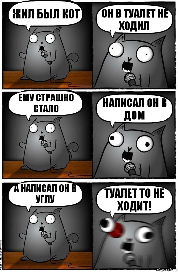 жил был кот он в туалет не ходил ему страшно стало написал он в дом а написал он в углу туалет то не ходит!, Комикс  Стендап-кот