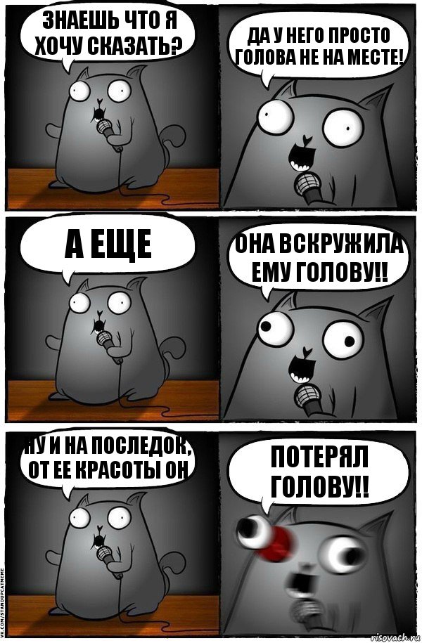 Знаешь что я хочу сказать? Да у него просто голова не на месте! А еще Она вскружила ему голову!! Ну и на последок, от ее красоты он Потерял голову!!, Комикс  Стендап-кот