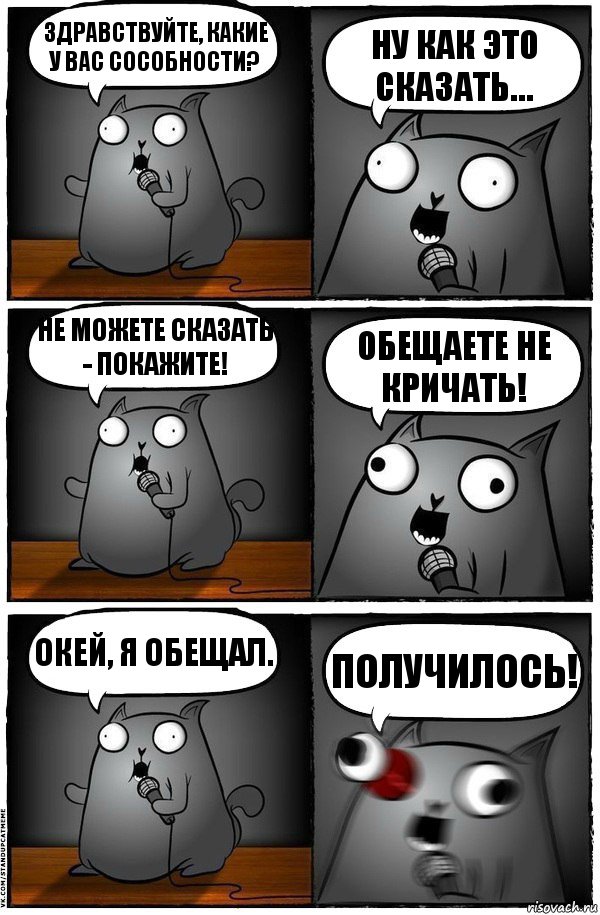 здравствуйте, какие у вас сособности? ну как это сказать… не можете сказать - покажите! обещаете не кричать! окей, я обещал. получилось!, Комикс  Стендап-кот