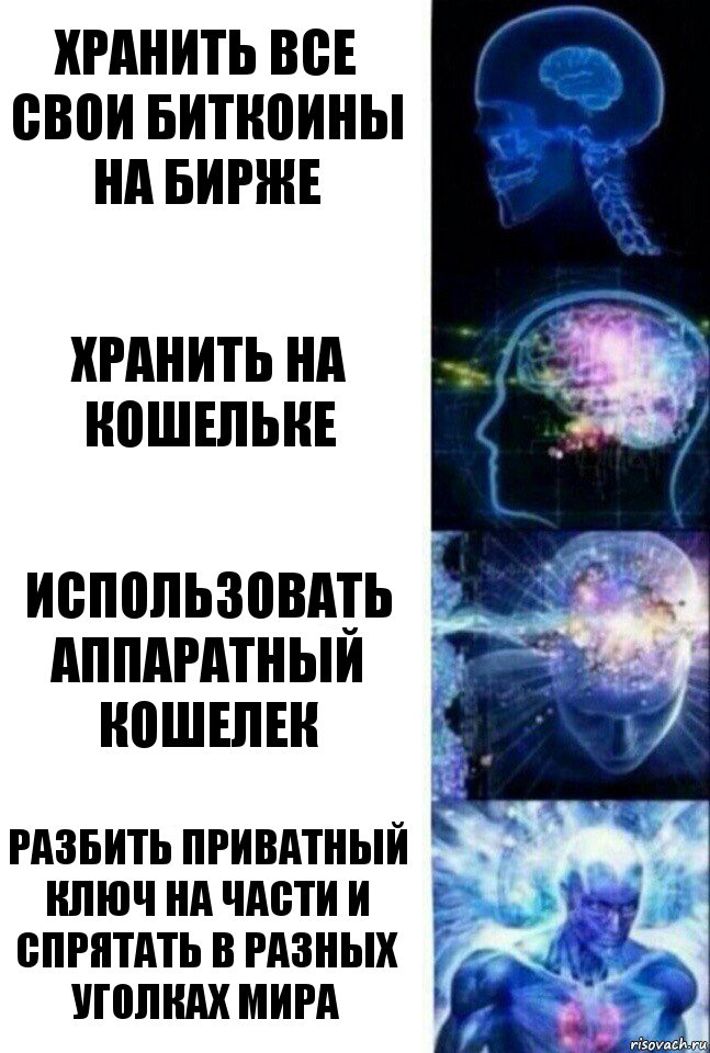 Хранить все свои биткоины на бирже Хранить на кошельке Использовать аппаратный кошелек Разбить приватный ключ на части и спрятать в разных уголках мира, Комикс  Сверхразум