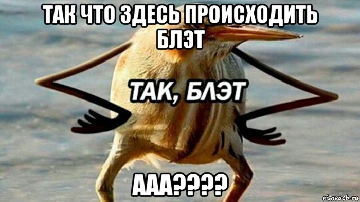 так что здесь происходить блэт ааа????, Мем  Так блэт