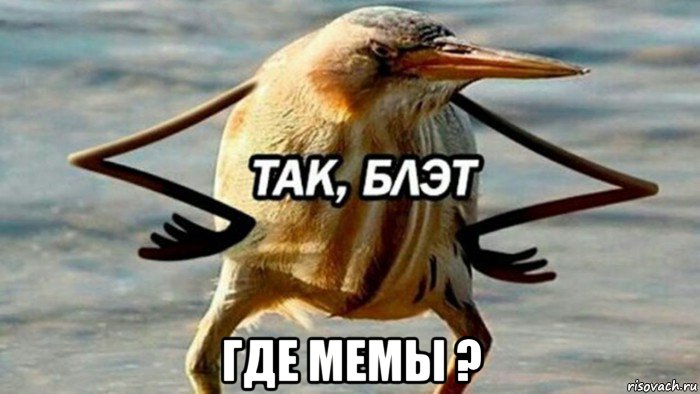  где мемы ?, Мем  Так блэт