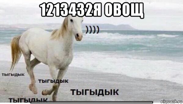 1213432я овощ 2000000000000000000000000000000000000000000000000000000000000000000000000000000000000000000000000000000000000000000000000000000000000000000000000000000000000000000000000000000000000000000000000000000, Мем   Тыгыдык