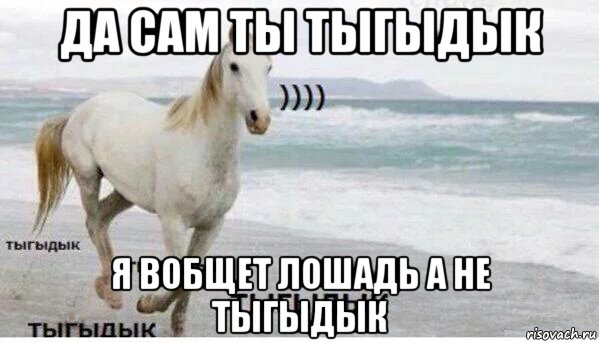 да сам ты тыгыдык я вобщет лошадь а не тыгыдык, Мем   Тыгыдык