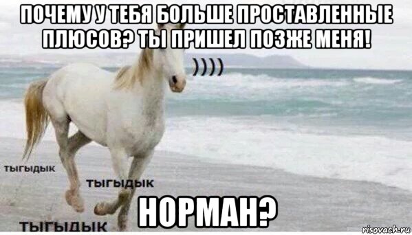 почему у тебя больше проставленные плюсов? ты пришел позже меня! норман?, Мем   Тыгыдык