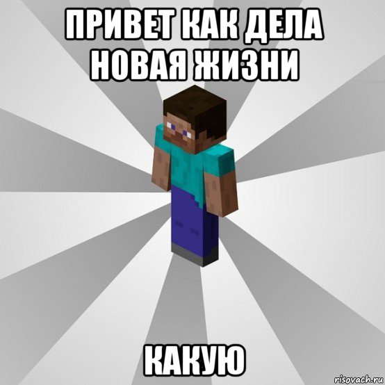 привет как дела новая жизни какую, Мем Типичный игрок Minecraft