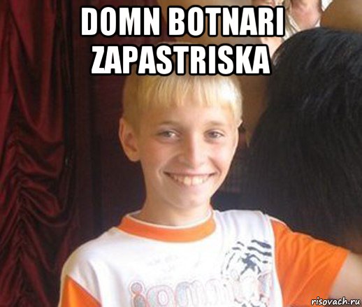 domn botnari zapastriska , Мем Типичный школьник