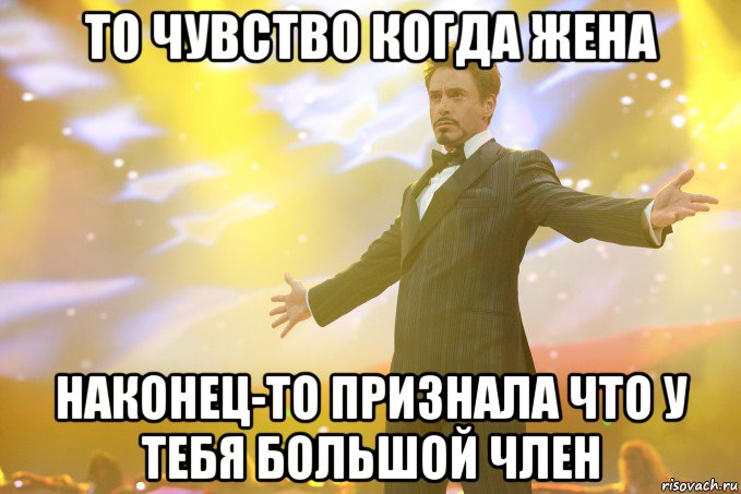 то чувство когда жена наконец-то признала что у тебя большой член, Мем Тони Старк (Роберт Дауни младший)