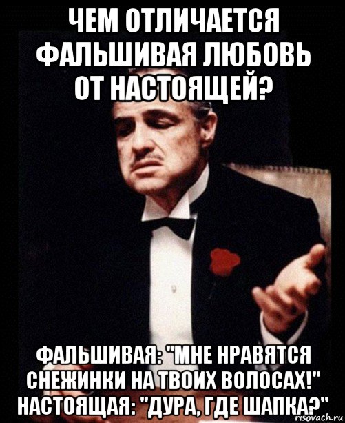 чем отличается фальшивая любовь от настоящей? фальшивая: "мне нравятся снежинки на твоих волосах!" настоящая: "дура, где шапка?", Мем ты делаешь это без уважения