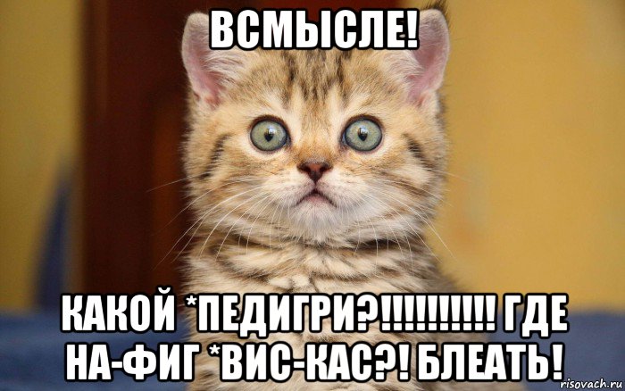 всмысле! какой *педигри?!!!!!!!!!! где на-фиг *вис-кас?! блеать!, Мем  удивление