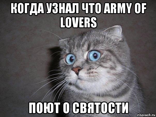 когда узнал что army of lovers поют о святости, Мем  удивлённый кот