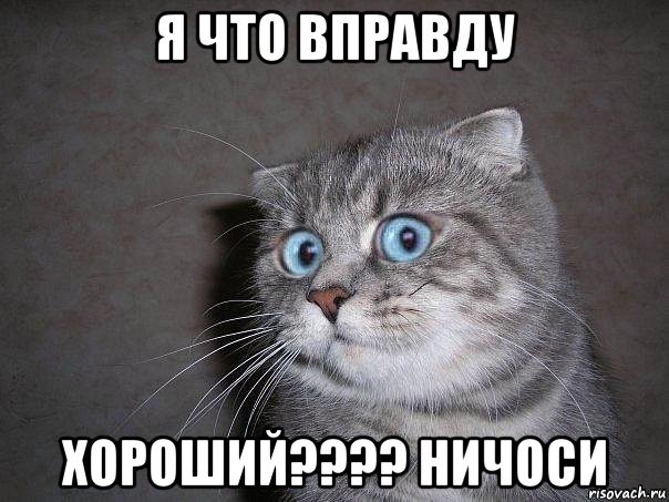 я что вправду хороший???? ничоси, Мем  удивлённый кот