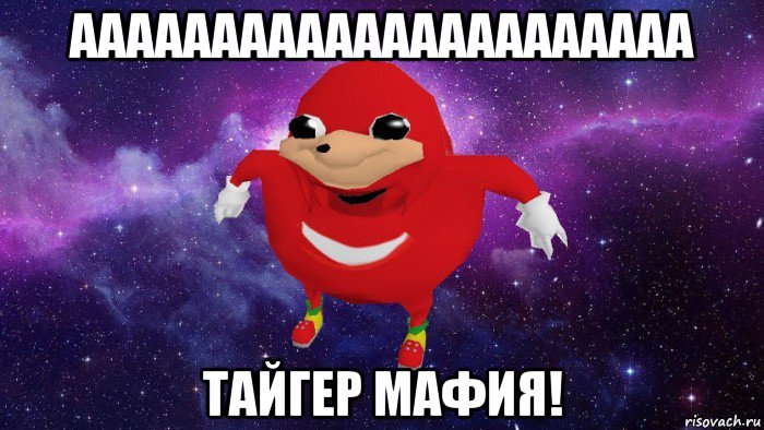 аааааааааааааааааааааа тайгер мафия!