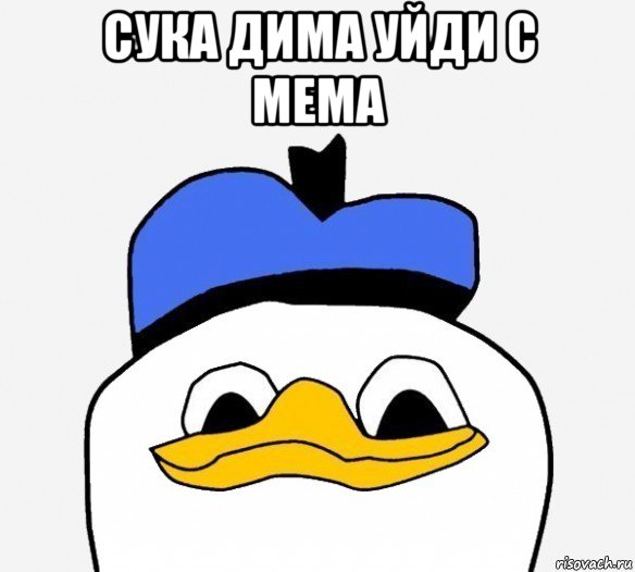 сука дима уйди с мема , Мем Утка