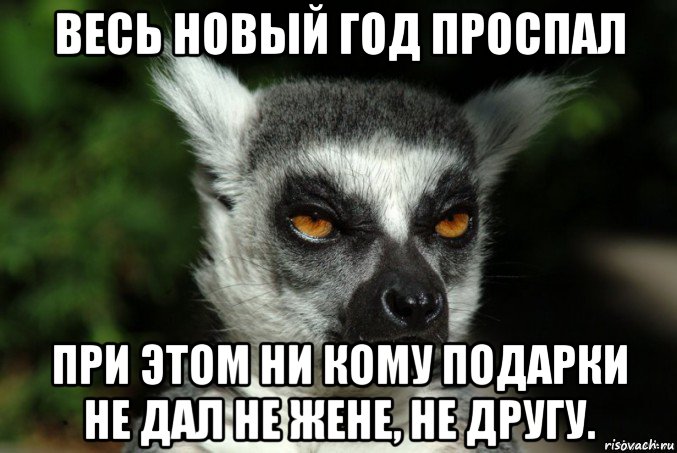 весь новый год проспал при этом ни кому подарки не дал не жене, не другу., Мем   Я збагоен